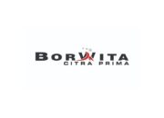 Logo Borwita - PT Borwita Citra Prima
