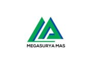 Loker Megasurya Mas Sidoarjo: HR Organization Development