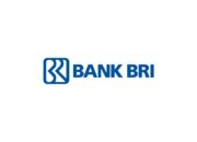 Magang Bank BRI Ngawi: Frontliner (BRILiaN Internship Program)