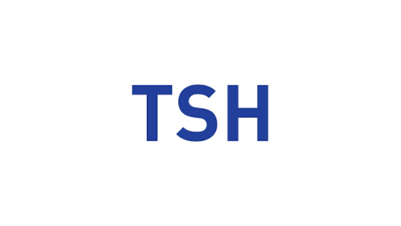 Logo PT Tah Sung Hung