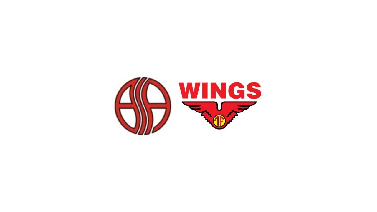 Logo PT Bahagia Sumber Abadi (Wings Group)